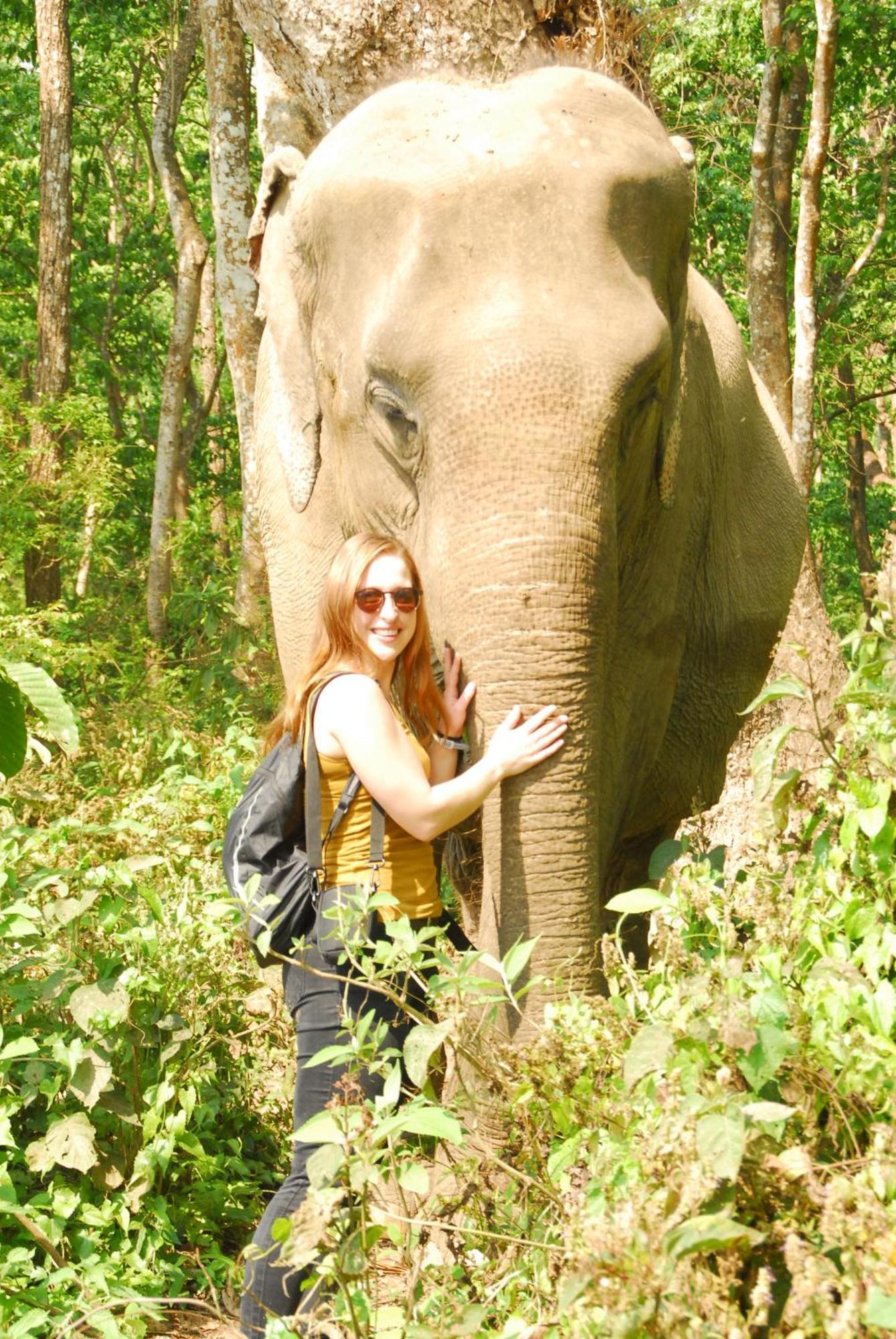 Hotel Garden Of Dreams Sauraha Exterior foto