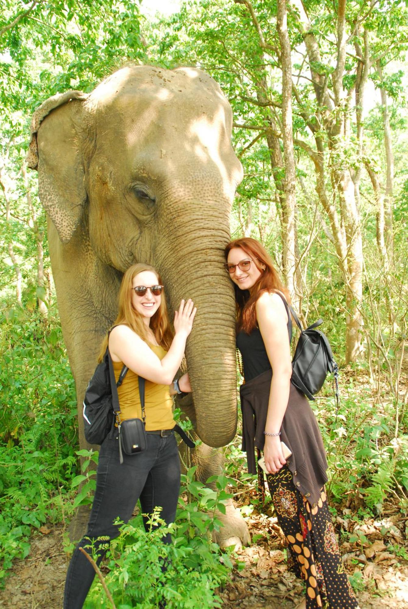 Hotel Garden Of Dreams Sauraha Exterior foto